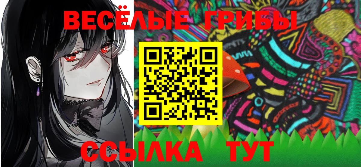 Лыткарино  Псилоцибиновые грибы Cubensis  Вход с VPN 