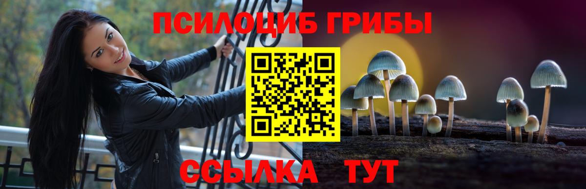 Псилоцибиновые грибы мухоморы Лыткарино